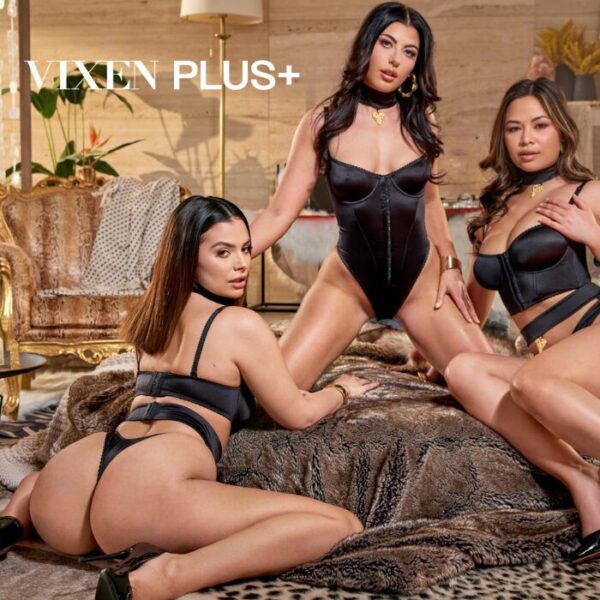 Vixen Plus