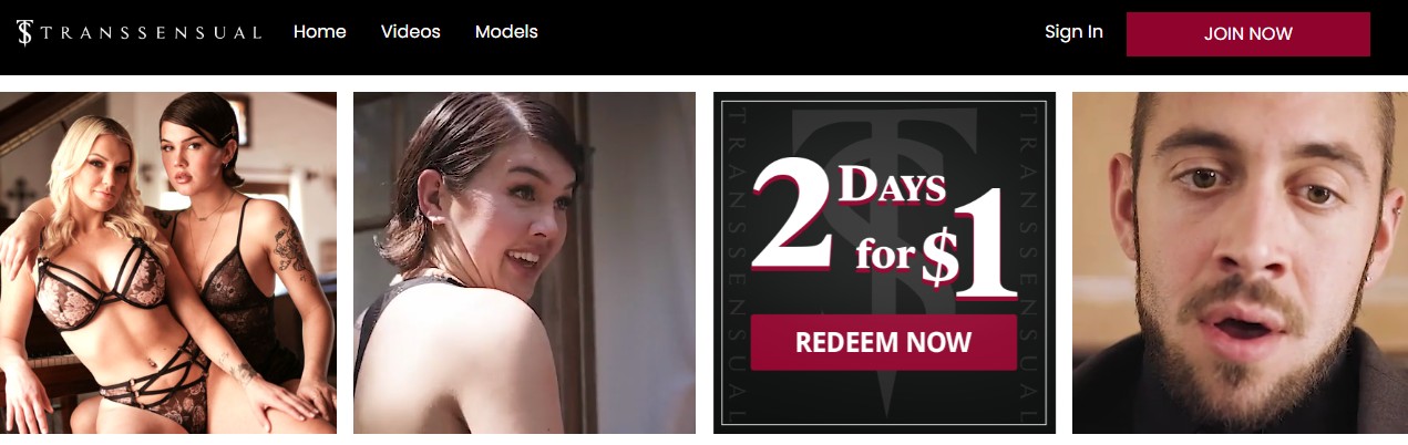 Best Trans Porn Trials - TransSensual banner with two lingerie-clad trans women, plus “2 Days for $1” special offer panel.